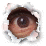 iblink.gif